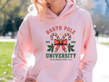 Person wearing a pink hoodie with 'North Pole University' design outdoors.